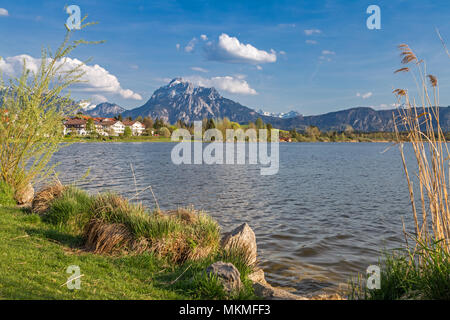 Le lac Hopfensee près de Füssen, en Bavière, Allemagne Banque D'Images