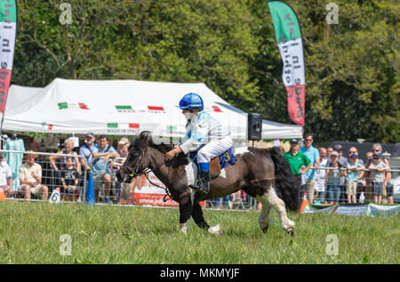 Marais Netley, Hampshire, Royaume-Uni. 6 mai 2018. Le premier jour, de l'événement de deux jours, Hampshire Game & Country Fair attire les foules par une chaude journée ensoleillée. Banque D'Images