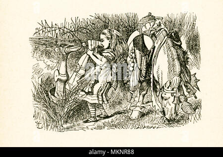 Cette illustration d'Alice et le chevalier blanc avec son cheval dans les fossés est dans de l'autre côté de 'et ce qu'Alice a trouvé là' par Lewis Carroll (Charles Lutwidge Dodgson), qui a écrit ce roman en 1871 comme une suite de 'Alice's Adventures in Wonderland.' Ici Alice est tirant le chevalier blanc du fossé. Banque D'Images
