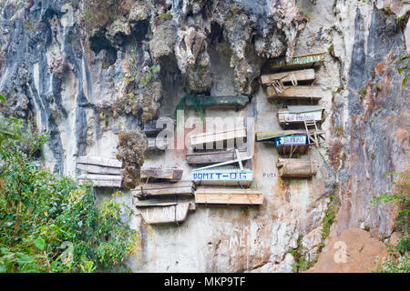 Cercueils suspendus, Sagada, Philippines Banque D'Images