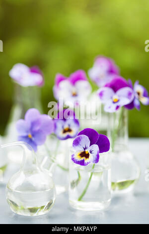 Fleur sur la verrerie en chimie, décoration de table de jardin Banque D'Images