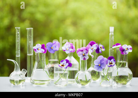 Fleur sur la verrerie en chimie, décoration de table de jardin Banque D'Images