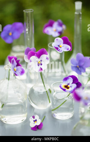 Fleur sur la verrerie en chimie, décoration de table de jardin Banque D'Images