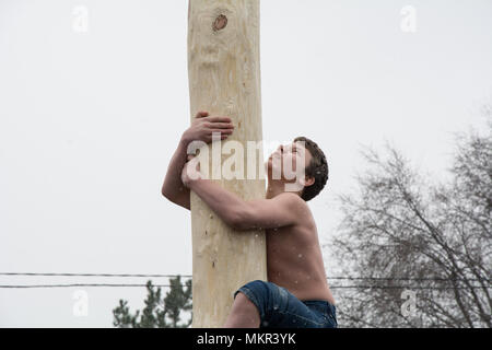 TIRASPOL, Moldavie-Février 18, 2018 : sur un poteau en bois pour le prix. Vacances pagan folk slave Maslenitsa (Le Mardi Gras) - une mee symbolique Banque D'Images