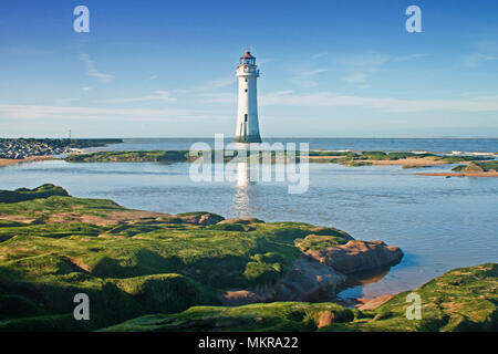 La marée montante entoure les roches vertes couvertes d'algues et fournit des reflets de perchaude Rock lighthouse Banque D'Images