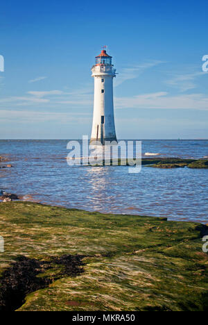 Rock Perch phare en portrait, avec les algues vertes couvertes de roches dans l'avant-plan Banque D'Images