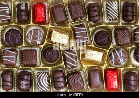 Assortiment de chocolats pralinés à la case Banque D'Images