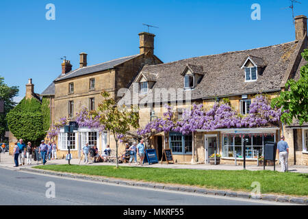 Broadway, Cotswolds, Royaume-Uni. En fleurs de glycine, spécimen mature plante au village des Cotswolds de Broadway. Banque D'Images