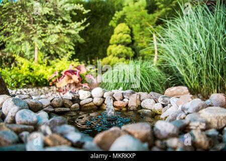 Petit étang de jardin rocailleux avec petite fontaine dans le beau jardin. Banque D'Images