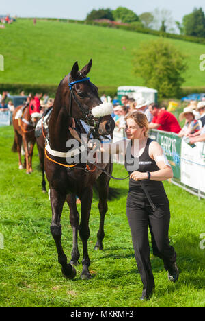 Chevaux et jockeys passage autour de l'anneau d'Eyton parade sur Severn Point to Point 7 Mai 2018 Banque D'Images