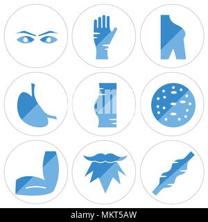 Ensemble de 9 icônes modifiable simple tel que le muscle humain, les hommes Beard, coude, du côté de caisse, basophiles, de l'estomac avec des liquides, de l'épaule, la main, sourcil, peuvent être utilisés Illustration de Vecteur