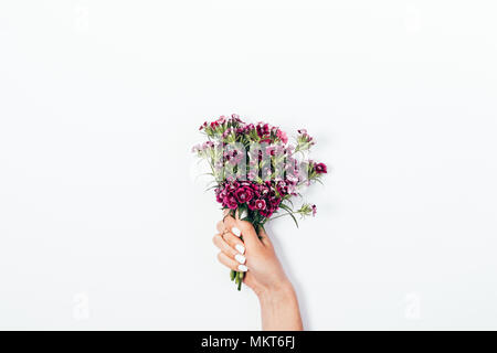 La main féminine avec manucure et bijoux en or blanc est titulaire d'un petit bouquet de petites fleurs roses sur fond blanc. Banque D'Images