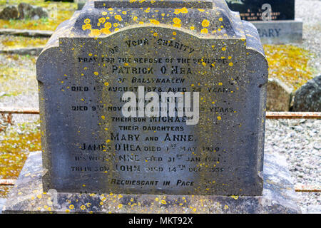 Marquage des pierres tombales anciennes tombes dans le cimetière ou cimetière du monastère de timoleague, un ancien couvent à l'abandon de l'Irlande. Banque D'Images