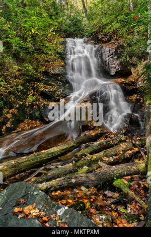 Log Hollow Falls est une jolie cascade de 25 pieds dans l'ouest de la Caroline du Nord. Vu ici à l'automne. Banque D'Images