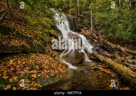 Log Hollow Falls est une jolie cascade de 25 pieds dans l'ouest de la Caroline du Nord. Vu ici à l'automne. Banque D'Images