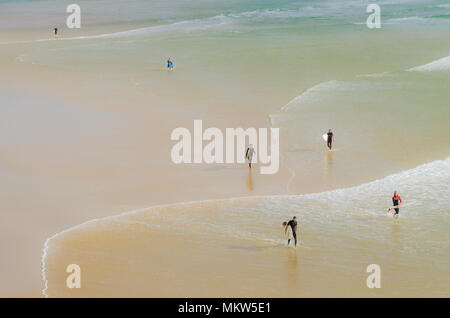 Vue aérienne des surfeurs le long d'une plage de sable entrant dans le surf Banque D'Images