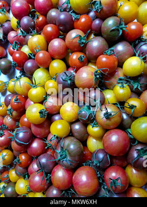 Un arc-en-ciel de tomates minuscules pour faire de délicieuses salades et yummy photographies Banque D'Images