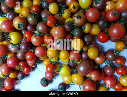 Un arc-en-ciel de tomates minuscules pour faire de délicieuses salades et yummy photographies Banque D'Images