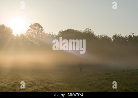 Une figure solitaire d'une femme marche dans la brume et la lumière du soleil tôt le matin au Blue Lagoon Nature Reserve, Bletchley, Bucks le 8 mai 2018 Banque D'Images