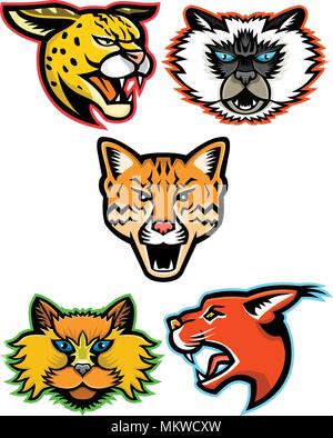 Mascotte Sports icon set des chefs de chats domestiques et sauvages comme le serval, chat de l'Himalaya, l'ocelot, Selkirk Rex cat et le caracal chat vu de sid Illustration de Vecteur