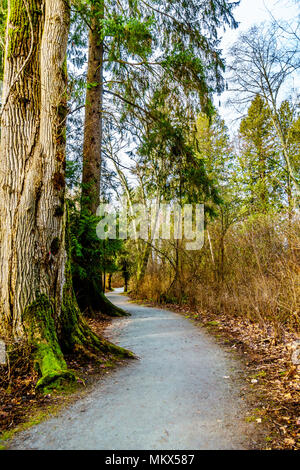 Randonnée Le sentier près de la Merlée à Pitt Meadows, Colombie-Britannique, Canada Banque D'Images