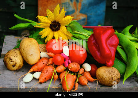 Légumes du jardin potager Banque D'Images