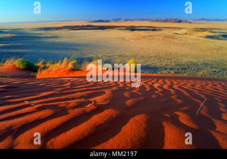 Paysage flou sur le coucher du soleil dans le désert du Namib Namib-Naukluft national park,., la Namibie Banque D'Images