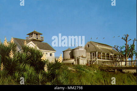 Maison de refuge & County Museum. Jensen Beach. 1960 Banque D'Images