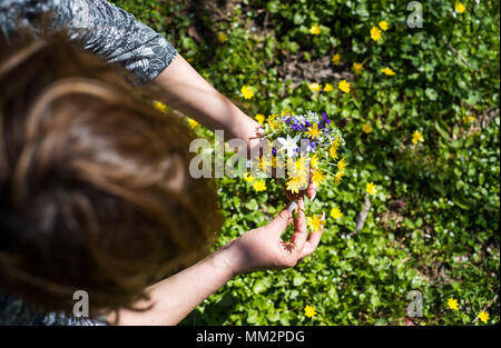 Woman picking fleurs de printemps dans le domaine Banque D'Images