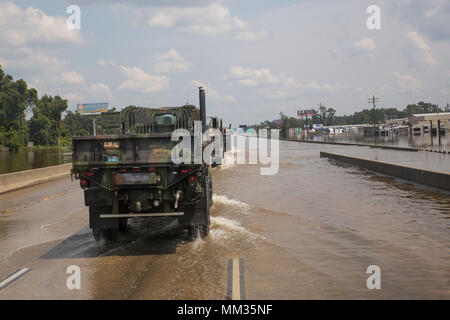 BEAUMONT, Texas - 7 tonnes camions de 14e Régiment de Marines, 4e Division de marines, Forces maritimes se réserve, et 7 tonnes de Bravo, détachement de l'Escadron de soutien de l'aile Marine, Marine Air 473 Groupe d'artisanat 41, 4e l'aile Marine, MARFORRES, traverser une route inondée sur la manière d'Orange, au Texas, de Beaumont, Texas, 3 septembre 2017. 14e détachement de Marines et à la fois bravo basée à Fort Worth, Texas, s'est rendu à Orange pour transporter des fournitures aux sections locales touchées par l'ouragan Harvey qui a atterri dans l'est du Texas. (U.S. Marine Corps le vidéo. Niles Lee/libérés) Banque D'Images