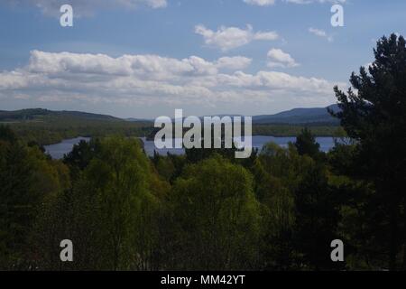 Vue sur le Bouleau Printemps Woodland à Loch Kinord sur une belle journée de printemps. Muir de Dinnet, Cairngorms NNR, Écosse, Royaume-Uni. Mai, 2018. Banque D'Images