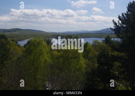 Vue sur le Bouleau Printemps Woodland à Loch Kinord sur une belle journée de printemps. Muir de Dinnet, Cairngorms NNR, Écosse, Royaume-Uni. Mai, 2018. Banque D'Images