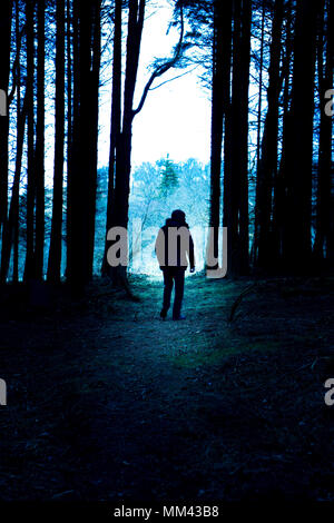 Silhouette of man walking in the woods,des tons bleus Banque D'Images