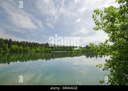 L'eau calme d'un étang de la forêt de pins, bouleaux et alentours Banque D'Images