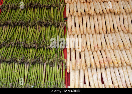 Asperges sauvages et cultivées asperges (à droite) dans le marché de l'alimentation de rue Hotorget. Stockholm, Suède Banque D'Images