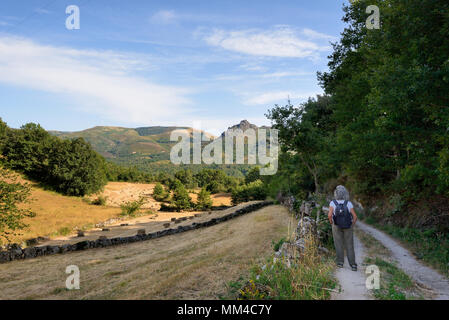 Les champs de seigle à Sirvozelo. Le parc national de Peneda Gerês, Portugal Banque D'Images