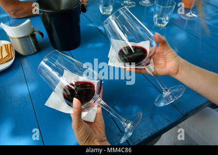 Dégustation de vin au Quinta do Piloto. Palmela, Portugal Banque D'Images