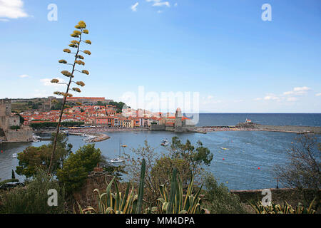 Vue sur le port avec l'ancien clocher de l'église de Notre-Dame-des-Anges, Collioure, Pyrénées-Orientales, Occitanie, France Banque D'Images