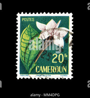 Timbre-poste imprimé par le Cameroun, qui montre une malleifera Randia, vers 1959. Banque D'Images