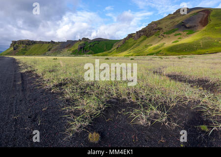 Plage de sable noir de Mýrdalssandur, Islande Banque D'Images