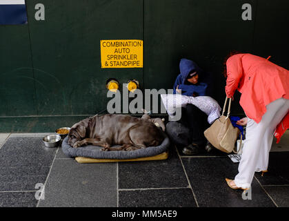 Un sdf et son chien reste durant la journée à Manhattan, New York City le 6 mai 2018. Banque D'Images