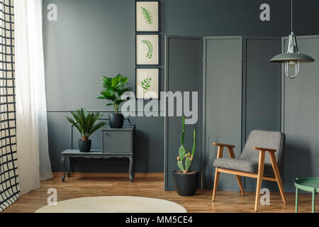 Salle grise intérieur avec des plantes en pots noir sur un meuble à côté d'une chaise sur plancher en bois Banque D'Images