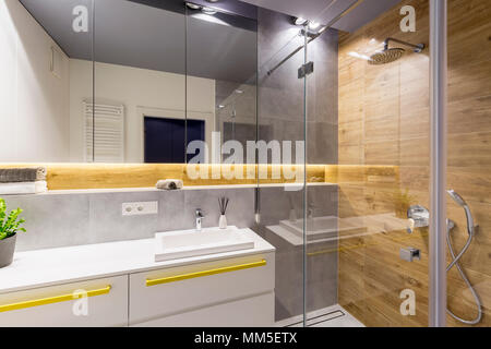 Douche en verre à côté d'un miroir et lavabo dans salle de bains moderne avec du bois d'intérieur Banque D'Images
