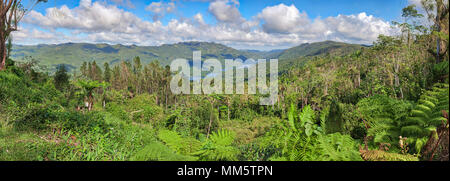 Topes de Collantes la réserve naturelle du parc, Trinidad, Cuba Banque D'Images