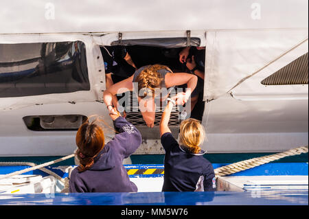 Passagers et produits sont transférés d'un bateau de plongée à un autre milieu de l'océan au-dessus de la Grande Barrière de Corail, Queensland, Australie. Banque D'Images