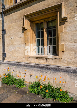 Quadrangle avant, All Souls College, Université d'Oxford, Oxfordshire, England, UK, FR. Banque D'Images