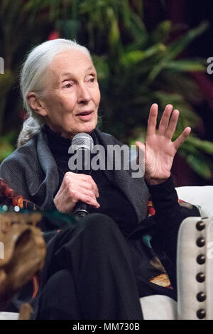 Vues de près avec le Dr Jane Goodall et ses amis' événement au Beverly Hilton Hotel à Beverly Hills, Californie comprend : le Dr Jane Goodall Où : Los Angeles, California, United States Quand : 08 Avr 2018 Crédit : Sheri/WENN.com Determan Banque D'Images