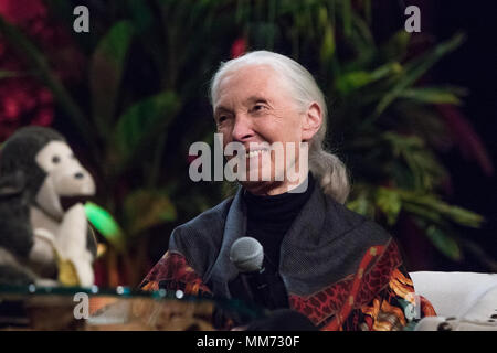 Vues de près avec le Dr Jane Goodall et ses amis' événement au Beverly Hilton Hotel à Beverly Hills, Californie comprend : le Dr Jane Goodall Où : Los Angeles, California, United States Quand : 08 Avr 2018 Crédit : Sheri/WENN.com Determan Banque D'Images