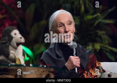 Vues de près avec le Dr Jane Goodall et ses amis' événement au Beverly Hilton Hotel à Beverly Hills, Californie comprend : le Dr Jane Goodall Où : Los Angeles, California, United States Quand : 08 Avr 2018 Crédit : Sheri/WENN.com Determan Banque D'Images