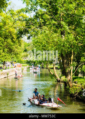 Barques, rivière Cherwell, Christchurch Meadow à pied, Christ Church, Oxford, England, UK, FR. Banque D'Images